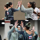 USAG Logo Crop Hoodie